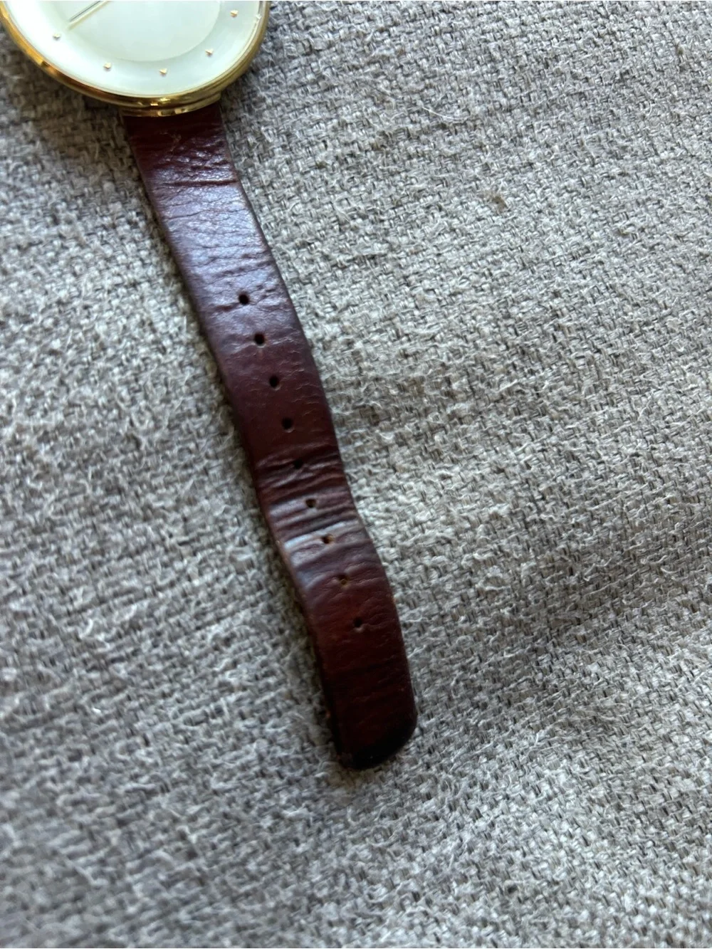 Skagen Gold Dial Brown Leather Strap Minimalist Watch